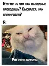 7uvcyw4b_lg.webp