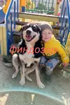 1754311546926.webp