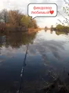 1754312231281.webp