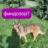 20250801_161043.webp