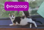20250702_181651.webp