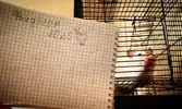 IMG_20250804_164808_731.webp