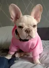 1743949314996.webp