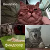 1000057367.webp