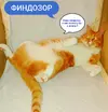 1754344933264.webp