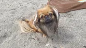 20160809_135437.webp