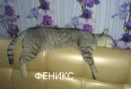 IMG_20250806_000335.webp