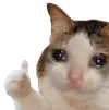 1754470929217.webp