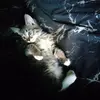 IMG20250801191511.webp