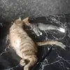 IMG20250720164244.webp