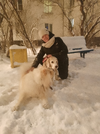 xf6dp_6ojBw.webp