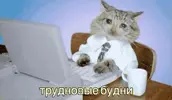 ceba945d8cb83031f30d9ebb85412fc5.webp