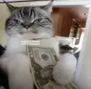 20250807_031951.webp