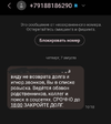 1000186557.webp