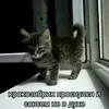 339a9b3969f33c3381fc616c4fc319e1.webp