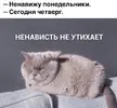 1663224533119553553.webp