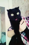 1754599533.webp