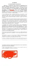 IMG_20250808_064731.webp