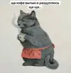 85ff68d440544d71f9ba89cb1b0ba55b.webp