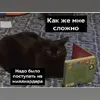 884a4c046d8aacbe4635858a3473d22b.webp