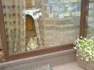 IMG_20250809_105409.webp