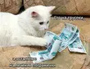 2b2c6663d8573ef281fcb431bce71205.webp