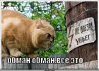 obman-obman_1284639717.webp
