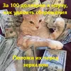 ycvyz6gbta27p0n6jug56dxuislgqujg.webp