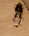 Screenshot_20250810-014908_1.webp