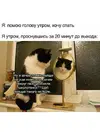 fbf5c24cf8e99b3c893cc6b4f9298bff.webp