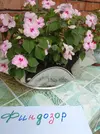 IMG_20250810_125059.webp