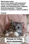 utro-dobrym-ne_28930.webp