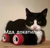 853b4791bd6983a3649ae15daf57539e.webp