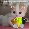 1754912954694.webp