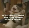 0b0712fdfe909915066080a564cd6692.webp