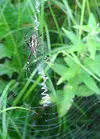 20250810_073242.webp