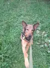 20250810_192407.webp