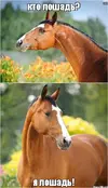 64b71c197ed48b5b738a6626ac350f79.webp