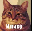 downloadfile.webp