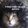 2a9027bcba30af1538fdfc6b98313d86.webp