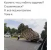 1000062450.webp