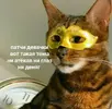 1a339b27952b21074813e58673ee0aef.webp