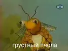04a4252a7e3d43f9e0565e7bc043e639.webp