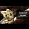 dc7d0deeeb84a5876d70b1cffd81c29c.webp
