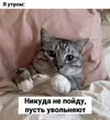 utro-dobrym-ne_28930.webp