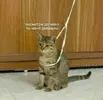 c9e55868b25e8d866db1825314a4408d.webp