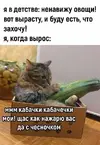 94522b47149ef26711881f55c070e40f.webp