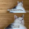 1755240476000.webp