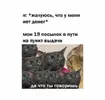 a4228e4bc770d0b38289e2447feb2db1.webp