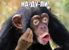 18950064.webp